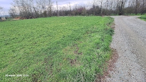 Vand teren intravilan Ciocanesti jud. Calarasi. 950 m  - imagine 3