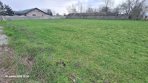 Vand teren intravilan Ciocanesti jud. Calarasi. 950 m  - imagine 4