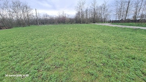 Vand teren intravilan Ciocanesti jud. Calarasi. 950 m  - imagine 6