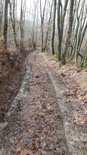 Oportunitate investiție: 340 HA teren arabil 