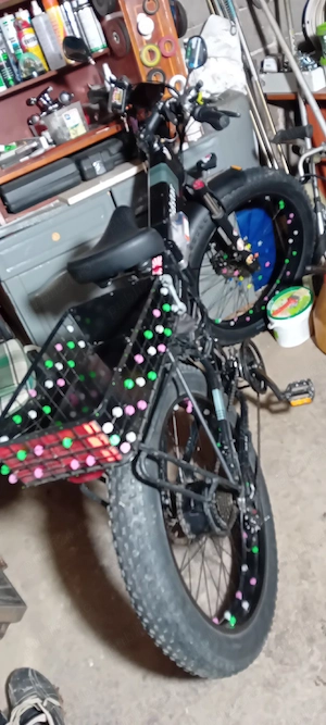 Bicicletă electrica cu accelerație. 