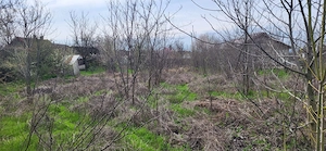 Teren 2000 mp Plenița   ideal pentru construcție, poziție bună cu 2 case bătrânești - imagine 4