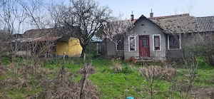 Teren 2000 mp Plenița   ideal pentru construcție, poziție bună cu 2 case bătrânești - imagine 3