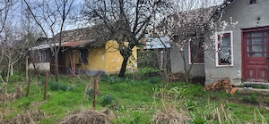 Teren 2000 mp Plenița   ideal pentru construcție, poziție bună cu 2 case bătrânești - imagine 2