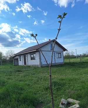Casă + teren 1000 mp în Istria   vedere la lac