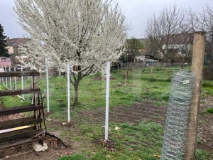 Doua case intr-o curte de 952 mp, Paleu-liniste, spatiu,  potential langa Oradea - imagine 8