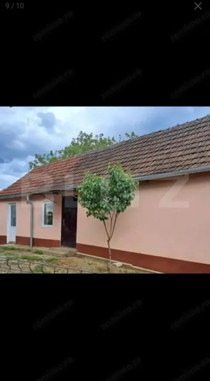 Doua case intr-o curte de 952 mp, Paleu-liniste, spatiu,  potential langa Oradea - imagine 3