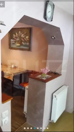 Doua case intr-o curte de 952 mp, Paleu-liniste, spatiu,  potential langa Oradea - imagine 6