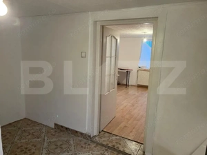 Doua case intr-o curte de 952 mp, Paleu-liniste, spatiu,  potential langa Oradea - imagine 9