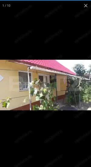 Doua case intr-o curte de 952 mp, Paleu-liniste, spatiu,  potential langa Oradea