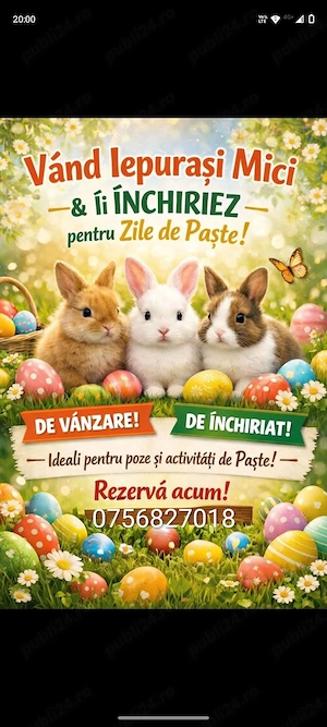 Mai multe detalii la Nr afișat în anunț 