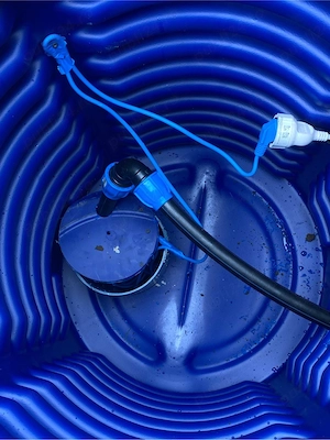 foraje puturi ala - imagine 2