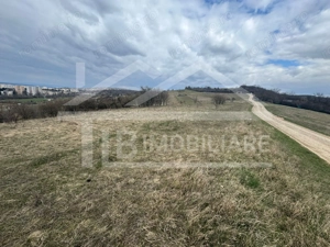 Teren, 1.000 mp, intravilan, Zona Viile 1 Mai - imagine 4