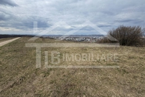 Teren, 1.000 mp, intravilan, Zona Viile 1 Mai - imagine 3