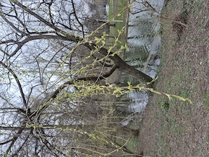 Pierdut card avocat.