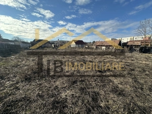 Casa de vanzare 4 camere, 2240mp teren, Zona Raciu - imagine 6