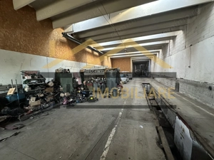 Spatii de inchiriat, 255mp, parcare, Zona Libertatii - imagine 3
