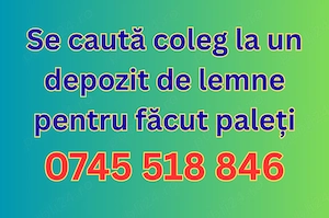 Se cauta coleg la un depozit de lemne pentru facut paleti