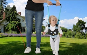 Ham bebe mers Predare  personala  in Bucuresti 