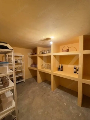 Casa S+P+E+M, 230 mp teren, Puskin - imagine 6