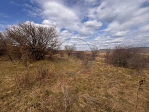 Teren extravilan în suprafață de 3500 mp, situat în zona Sigmir - imagine 2