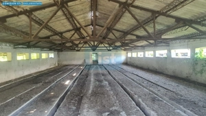 Teren 3.400 mp + 2 hale – Spațiu ideal pentru afacerea ta