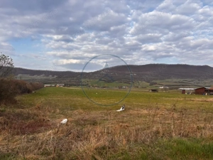 Teren 1.23 ha | DN17 | Șieu-Măgheruș  - imagine 3