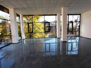 Birouri luxoase in zona centrala