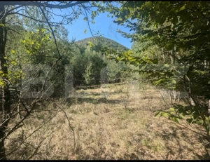 Teren extravilan de vanzare, 3.5 ha padure + pasune in Comuna Borod