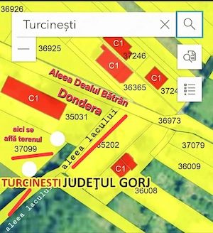 Teren intravilan situat în Turcinești la 5km distanță de oraș de oraș,  zonă liniștită cu vede - imagine 3