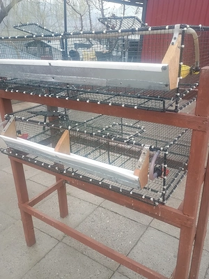 Cuști pentru prepelițe 