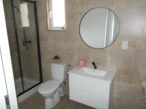 Casa, Timisoara, Plopi,  1970, jumatate duplex, 2 corpuri, 3+1 camere, 235mp teren - imagine 11