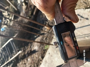 Talere terradisc Pottinger