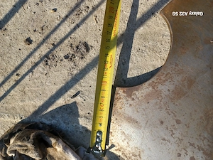 Talere terradisc Pottinger - imagine 3