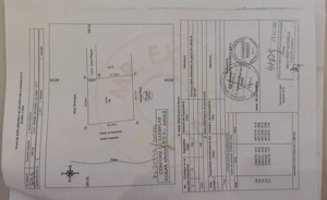 Teren intravilan pentru Casa de Vacanta - Mosoaia -Basangesti - imagine 10