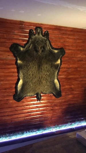 Cazare Valea Prahovei - imagine 5