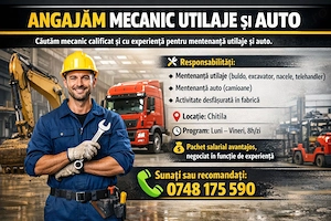 MECANIC utilaje terasamente si camioane