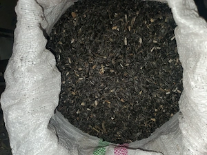 Floarea soarelui de vanzare 