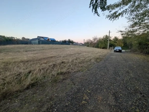Teren Măgura situat la strada asfaltata  - imagine 3