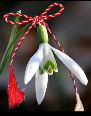 Doar deplasări, hotel și domiciliu