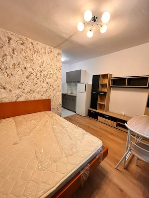 Camera de camin cu baie proprie,zona Bularga,etaj 2 - imagine 8