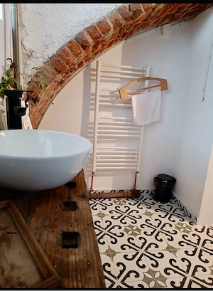 Inchiriez spatiu comercial cu zona de asteptare si baie proprie  SAD in acte  intrare din strada  - imagine 5