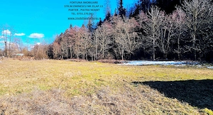 Casa P+M si 1400 mp teren,langa parau si padure pretabila pt.locuit sau pensiune,  Piatra Soimului - imagine 12