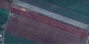 Teren investiție 1,5 ha lângă E68   ideal hală   logistică