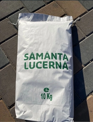 Sămânță de Lucerna soi magnat 100% - imagine 3