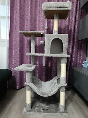 Ansamblu joaca pisici