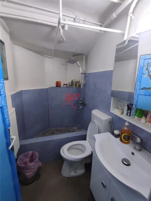 Vanzare apartament birou  5 camere Icoanei - imagine 10