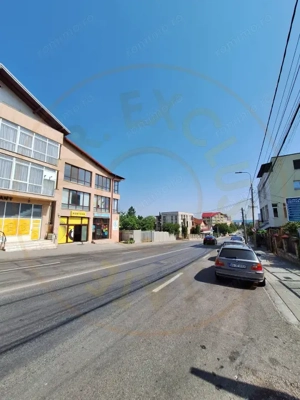 Spatiu Comercial Multifunctional Banat-CLASA A - imagine 2