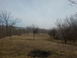 De vanzare casa si teren in Faget, DRAJNA, Prahova - imagine 2