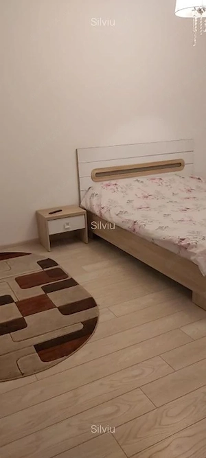 garsoniera ozana-centrala proprie